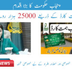 CM Punjab Himmat Card Registration 2024 Check by CNIC | 1312